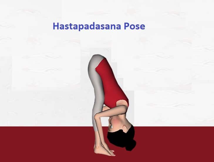 Hastapadasana-Pose