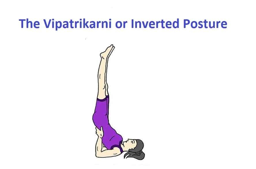 The Vipatrikarni or Inverted posture
