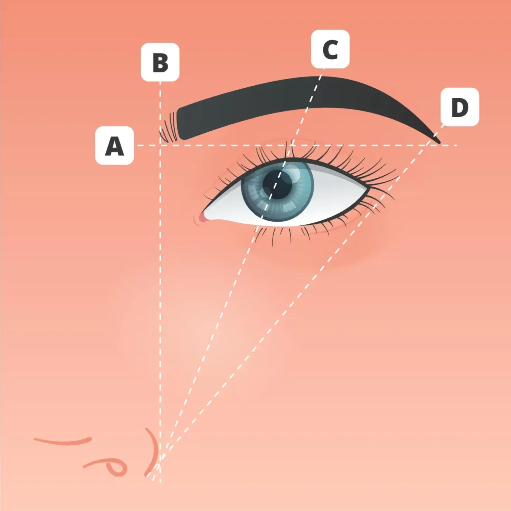 Brow Mapping